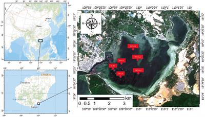 Comparative metagenomic analysis of microbial community compositions and functions in cage aquaculture and its nearby non-aquaculture environments